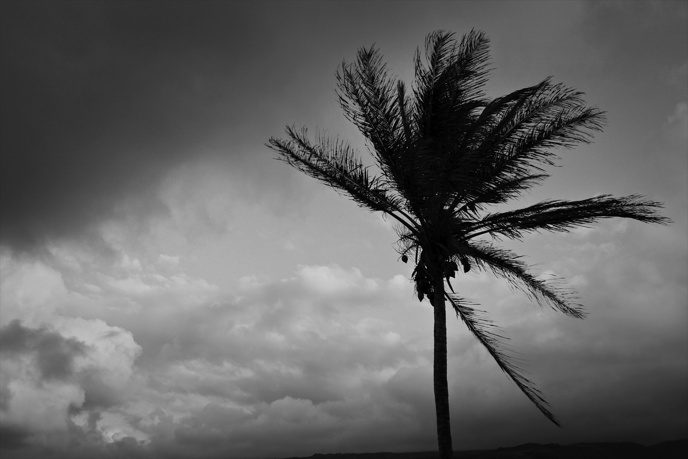 Tropical Storm during NPA