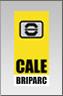 Cale BriParc Ltd