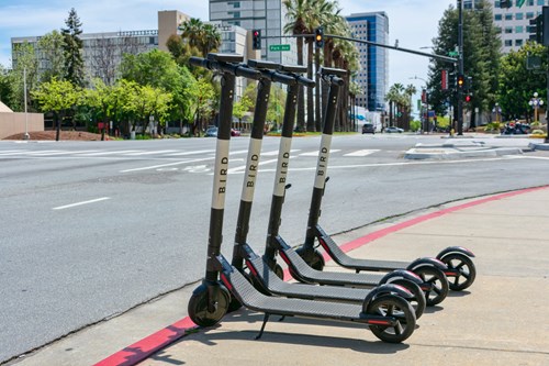 Four Bird e-scooters are lined up by the curb at an intersection