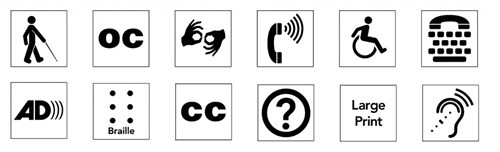 12 accessibility icons