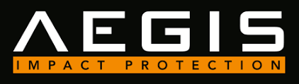 The AEGIS Protection Group